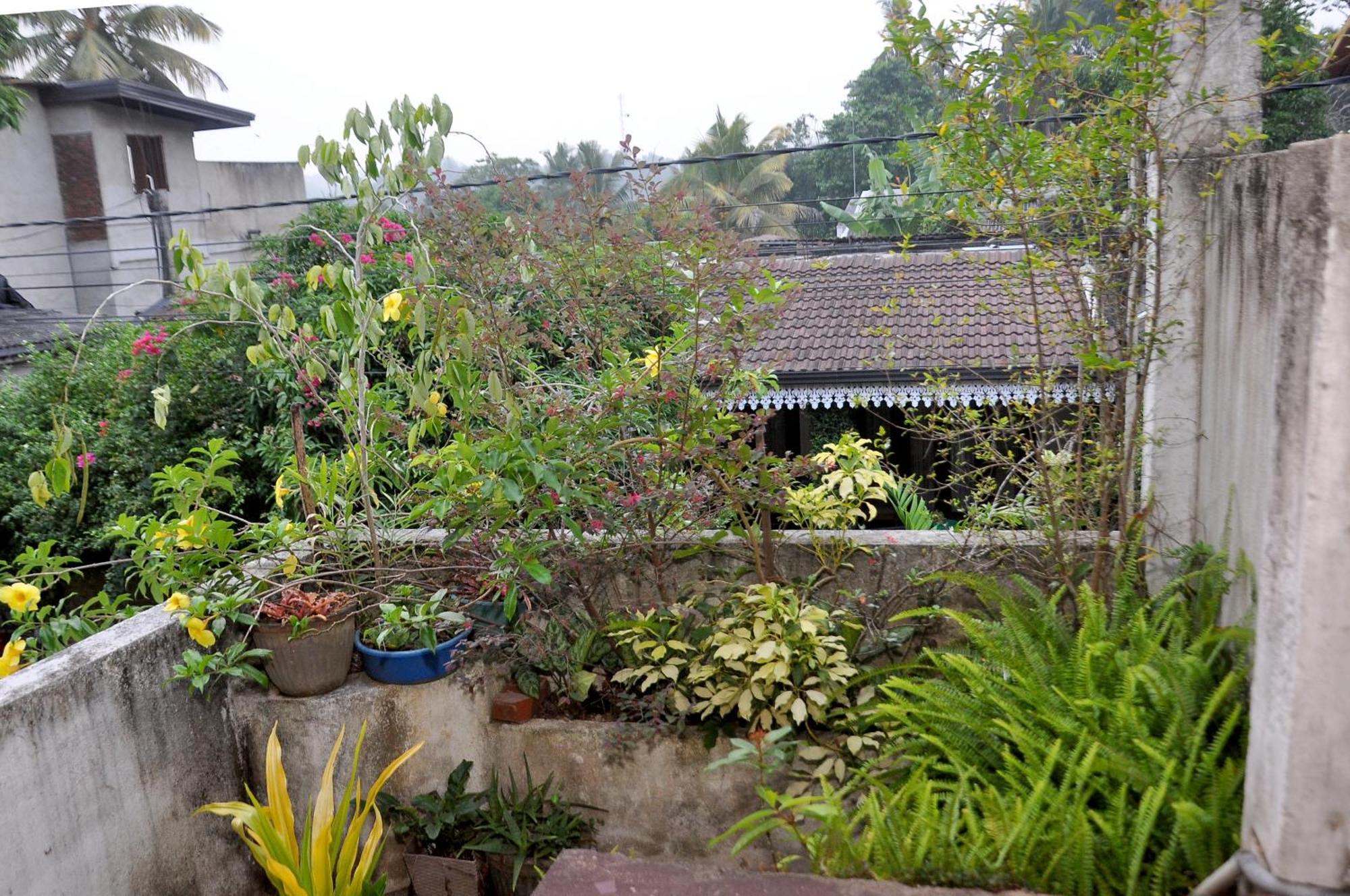 Golden Shower Inn Kandy Eksteriør bilde